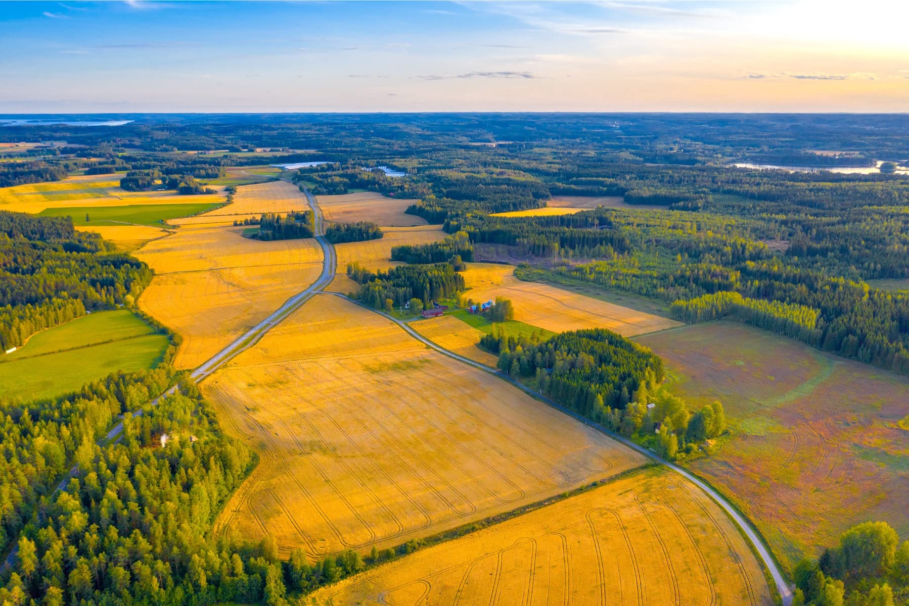 Wallepic Papier Peint Photo Autocollant Moderne XXL 208 X 146 Cm Motif Soleil Panoramique Pour Salon, Chambre à Coucher, Bureau, Couloir 208 X 146 Cm