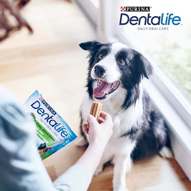 Foto 3 de 7 de PURINA DENTALIFE - Aperitivos de Cuidado Dental Diario para Perros