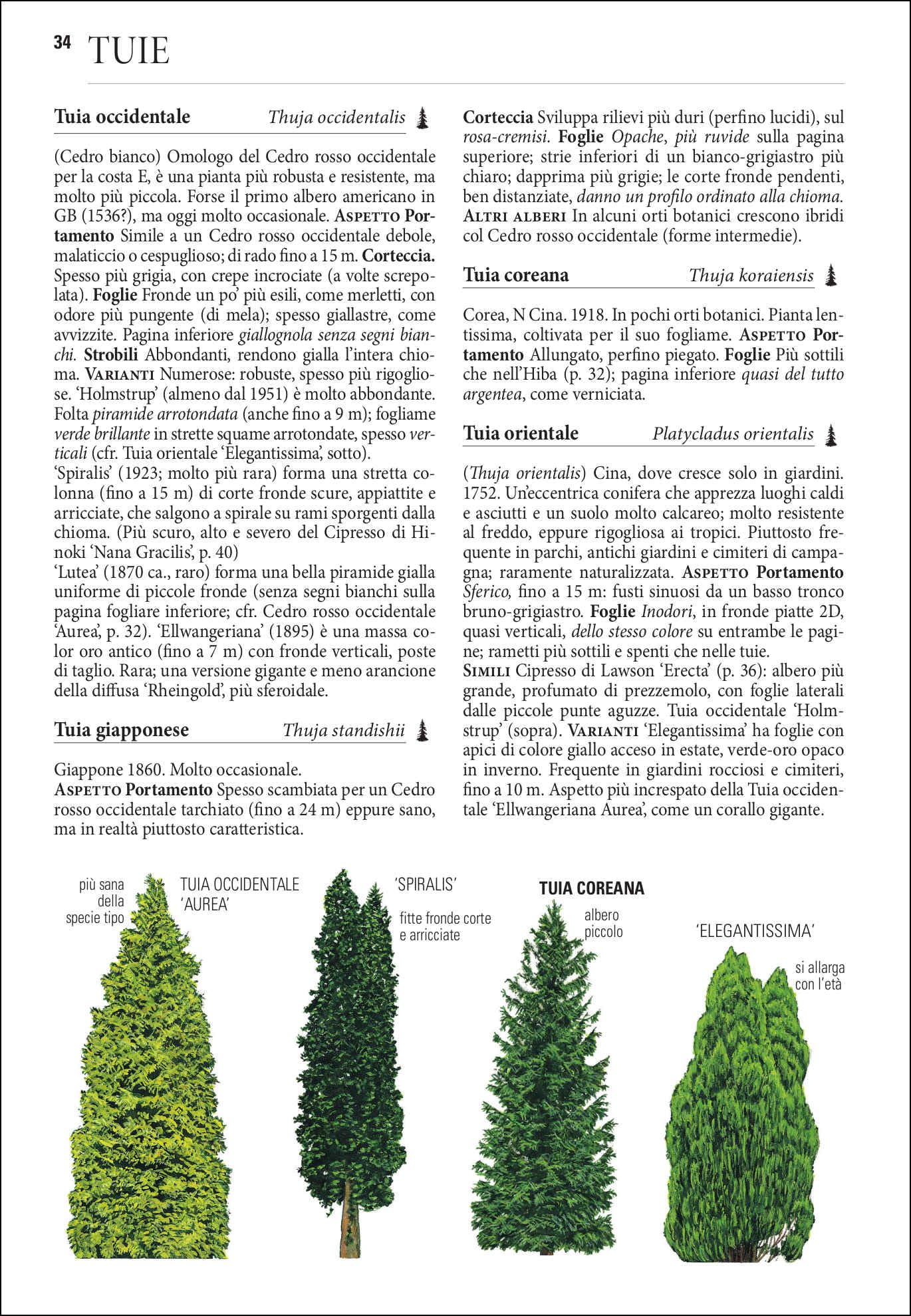 Alberi d'Europa