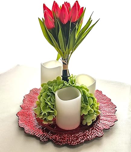 Vista 24 de Occasions" - 10 cargadores redondos de plástico acrílico de 13 pulgadas, para decoración de cenas (coral en plata) Coral en Plata,Coral