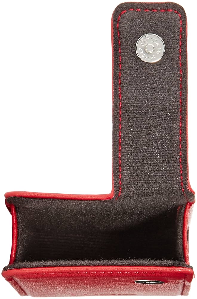 Amazon.co.jp: パナソニック デジタルカメラケース LUMIX レッド