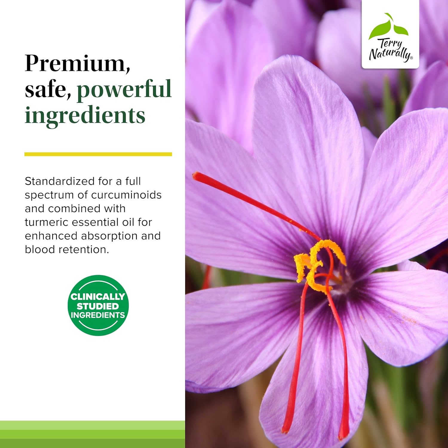 Terry Naturally Saffron Lift + Curcumin - Herbal Supplement with Curcumin - Non-GMO Saffron & Brain Curcumin Capsules - Concentration & Relaxation Support Supplement - 60 Capsules - Image 5