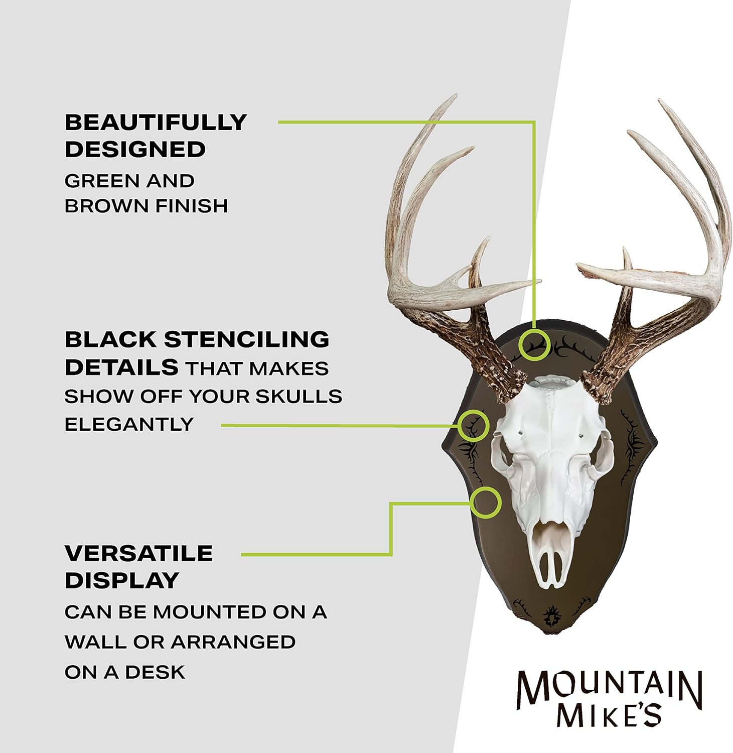 Mountain Mike's Reproductions Europlaque Skull Desk/Wall Mount Display Plaque