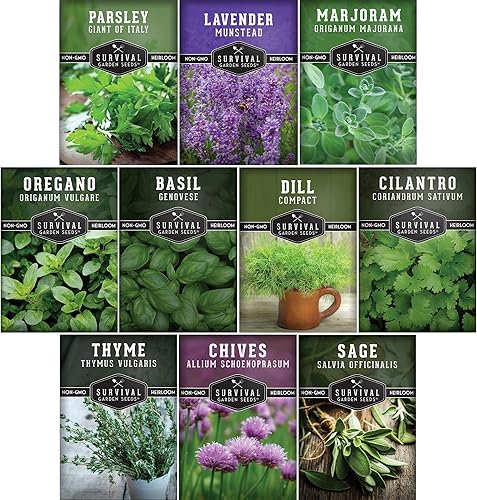 Paquete variado de semillas de hierbas  10 hierbas culinarias para plantar  albahaca, cilantro, lavanda, eneldo, perejil, orégano, tomillo, salvia,
