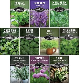 Herb Seeds Variety Pack | 10 Culinary Herbs for Planting – Basil, Cilantro, Lavender, Dill, Parsley, Oregano, Thyme, Sage, Chives, Marjoram – Indoor Kitchen Herb Kit – Survival Garden Seeds