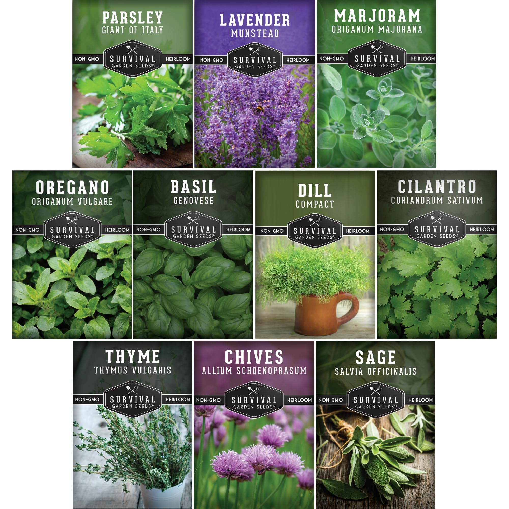 Herb Seeds Variety Pack | 10 Culinary Herbs for Planting – Basil, Cilantro, Lavender, Dill, Parsley, Oregano, Thyme, Sage, Chives, Marjoram – Indoor Kitchen Herb Kit – Survival Garden Seeds