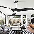 DWVO 52" Ceiling Fan with Remote, 3 Blade Ceiling Fans Reversible 6 Speeds with Quiet DC Motor and 2 Downrods for Bedroom, Living Room, Dining Room, Patio, Office
