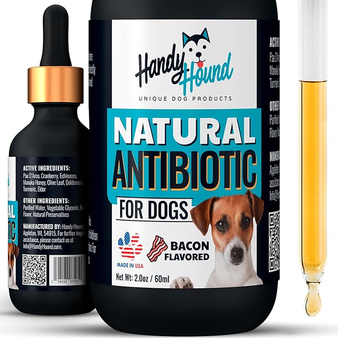 Aazon.co : Antibiotics For Dogs, Natural Antibiotic For Dog Allergy And Itch Relief, Dog