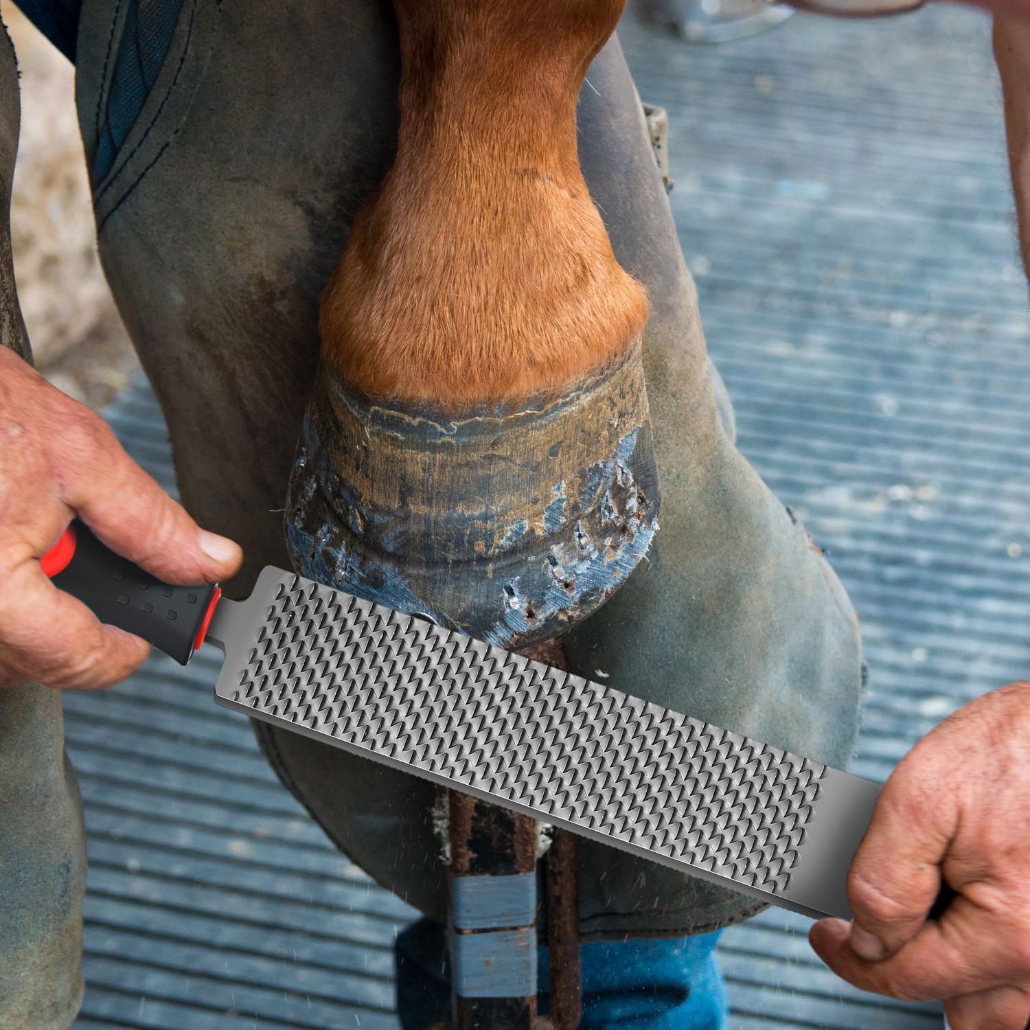 Gisafai 2 escofinas para herrar caballos con mango de acero al carbono, herramientas para reparación de pezuñas de caballo, pezuñas de cabra, vaca, burro, cerdo, pezuñas de animales, suministros de
