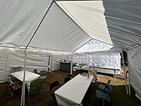 Review Image by Melyssa R. Thryselius Melyssa R. Thryselius