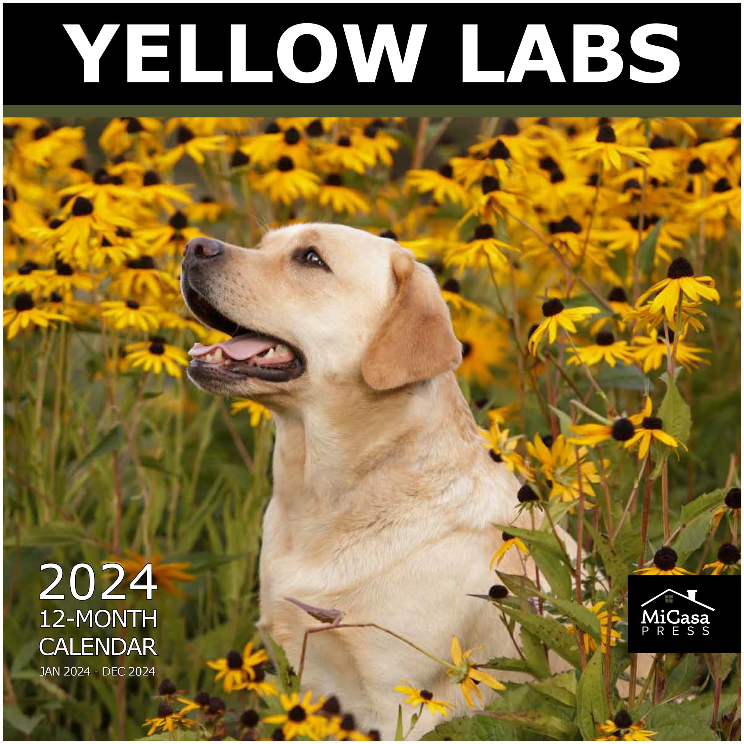 MICASA PRESSYellow Labrador Retrievers Labs 2024 Hangable Monthly Wall Calendar | 12" x 24" Open | Thick & Sturdy Paper | Giftable | Labs Cute Dog |
