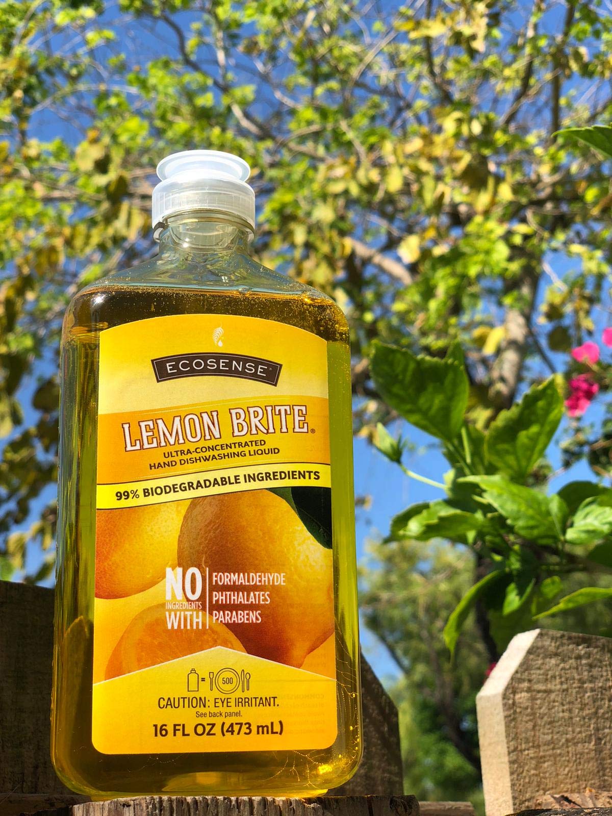 Ecosense Lemon Brite, Biodegradable Super Concentr