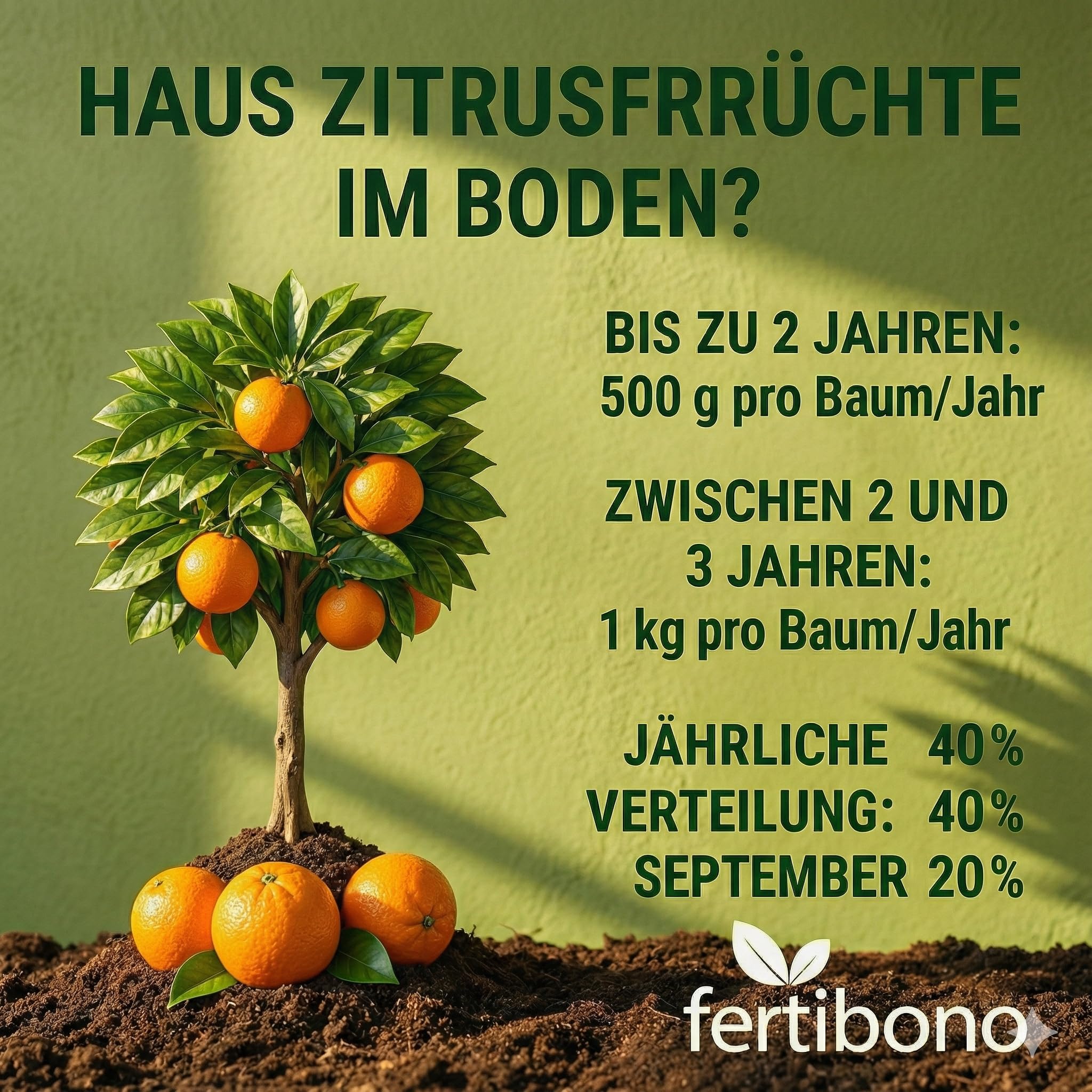 Zitrusdünger Granulat 2 kg | NPK 20-5-13 + Mg mit Eisen & Mangan – klare Jahresdosierung für Zitronenbaum & Zitruspflanzen | FERTIBONO