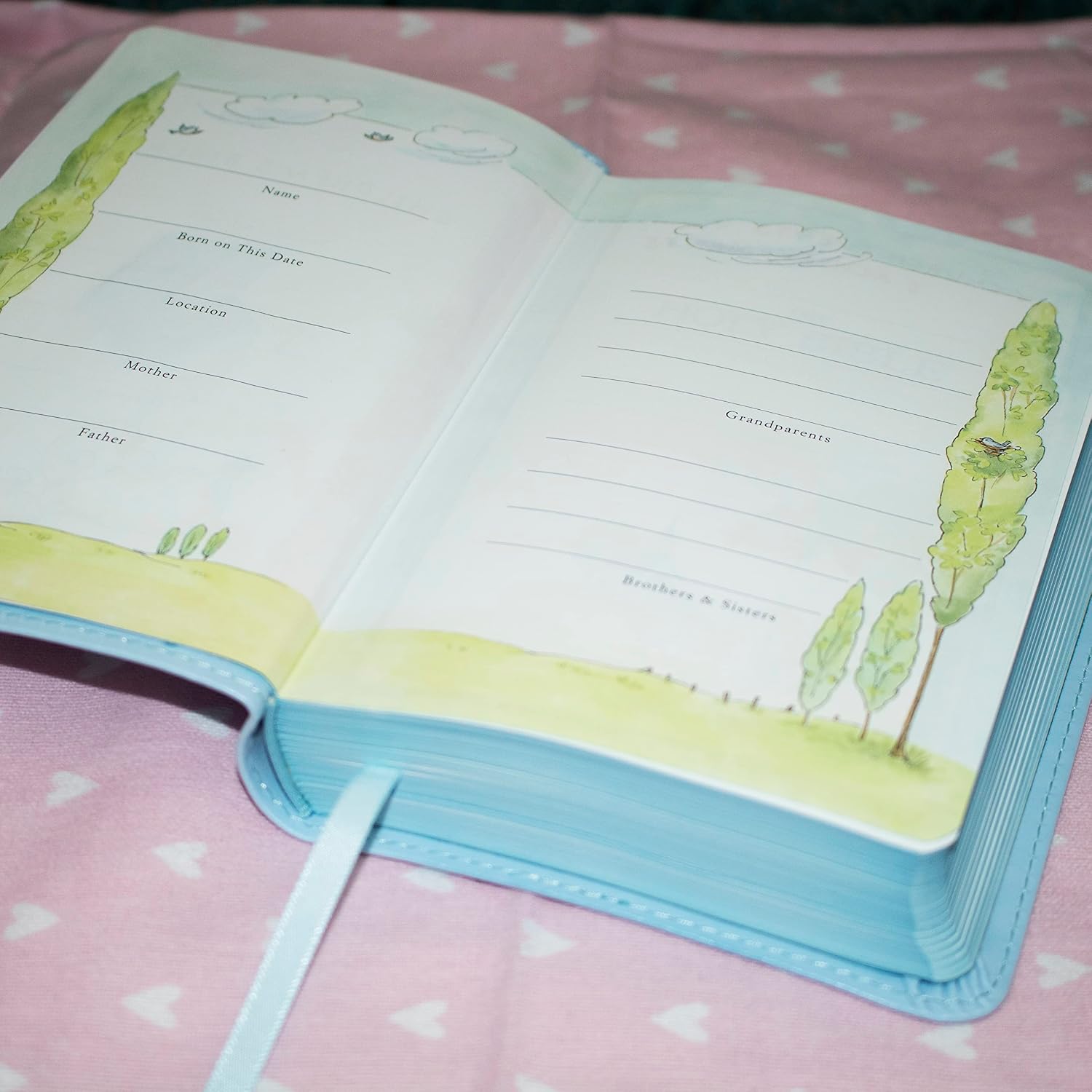 ICB, Really Woolly Holy Bible, Leathersoft, Pink: Children's Edition - Pink