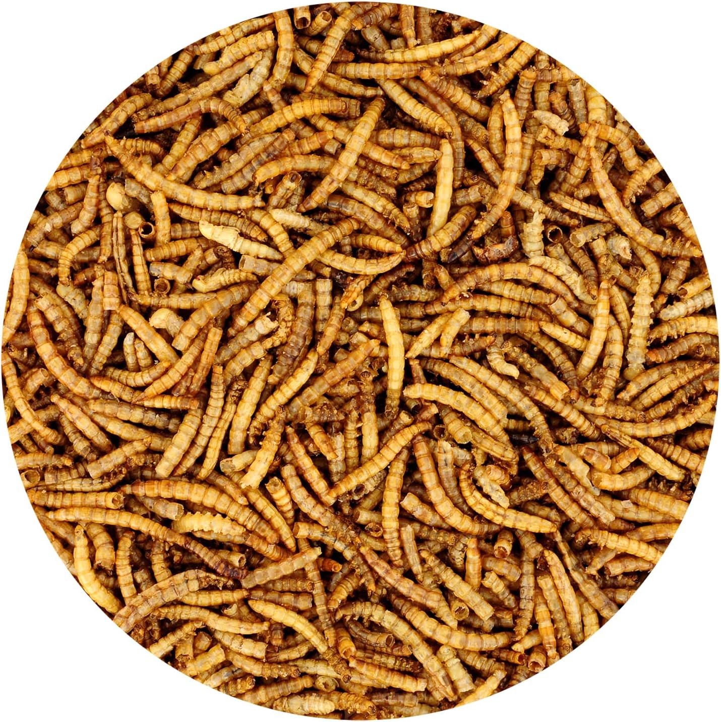 Dried Mealworms - 100% Natural, Non-GMO, High Protein, Bulk Insect Treat for Chicken, Laying Hen, Chick, Wild Bird, Bluebird, Duck, Goose, Turkey, Chickadee, Titmice, Wren, Reptile, Fish (22 lb.)