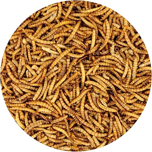 Miniatura 8 de Gusanos secos de la harina  100% natural, sin OMG, alto contenido de proteínas, a granel para pollo, gallina ponedora, pollo, pájaro silvestre,