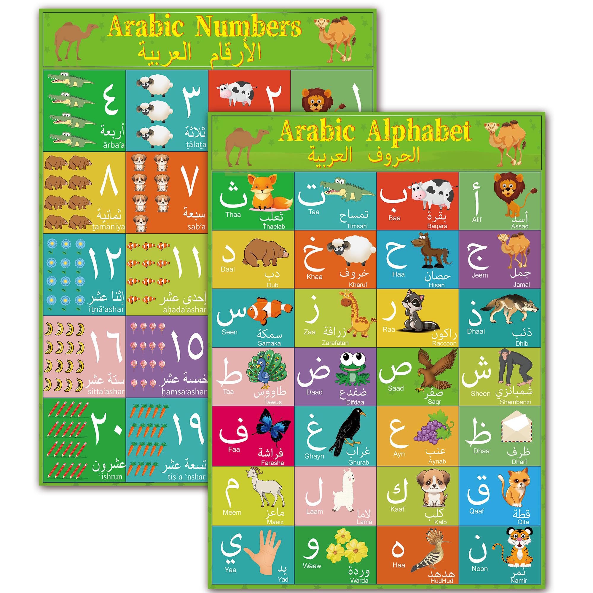 YIYDONG Arabic Alphabet Number Poster for Kids Arabic Alphabet Flash Cards with English Transliteration for Toddlers Kids Preschool & Kindergarten Classrooms