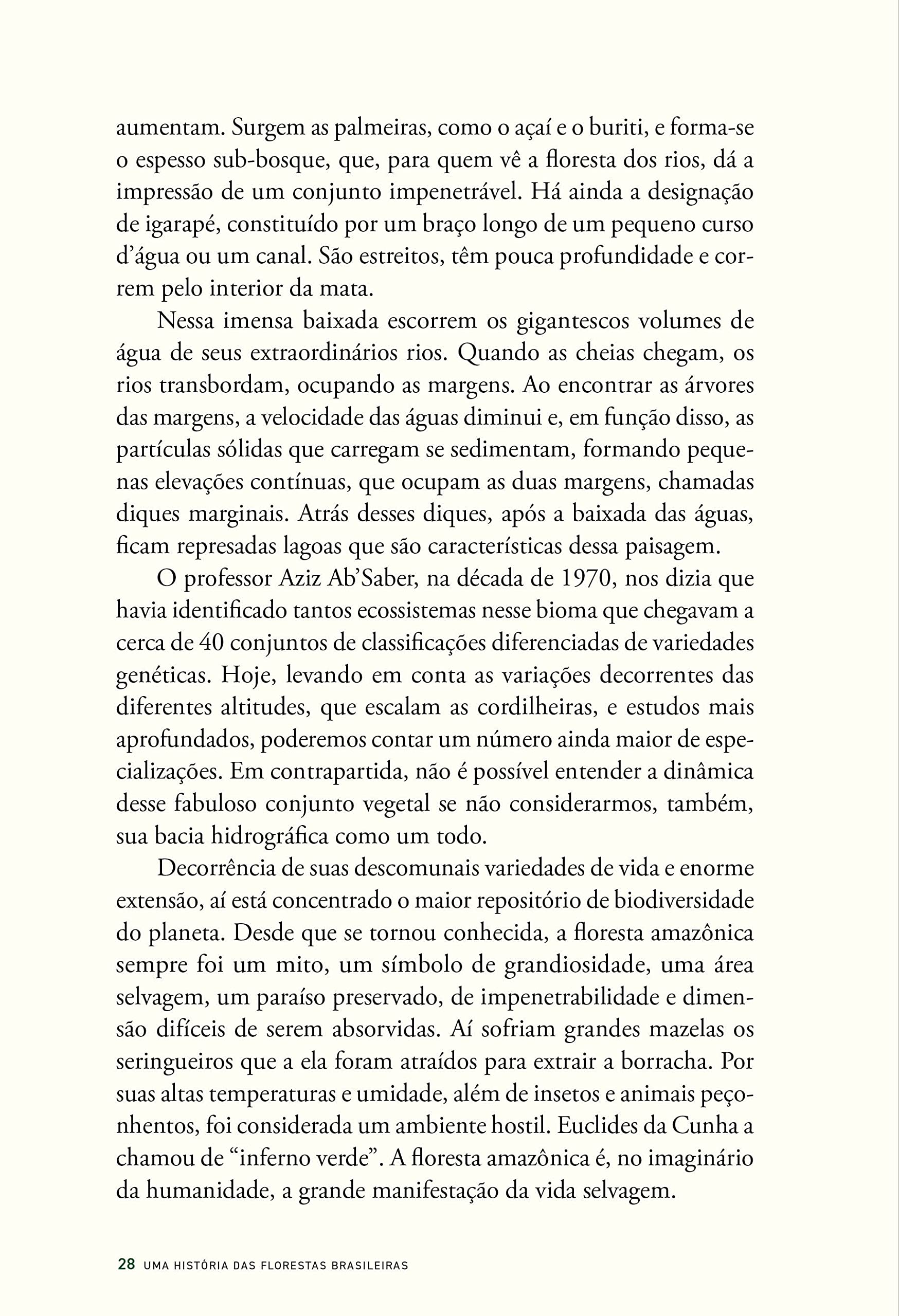 História das florestas brasileiras