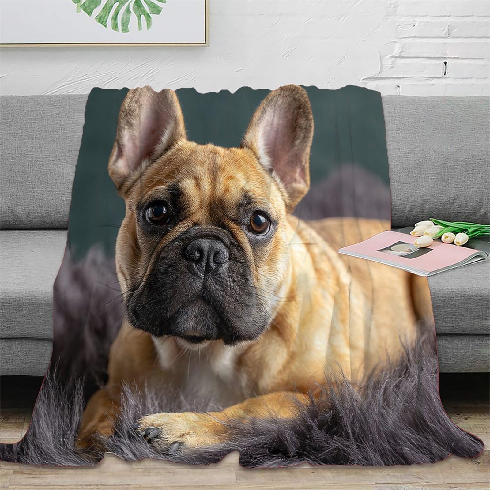 Couverture Bouledogue Français 3D en microfibre moelleuse 150x200cm jeté de canapé