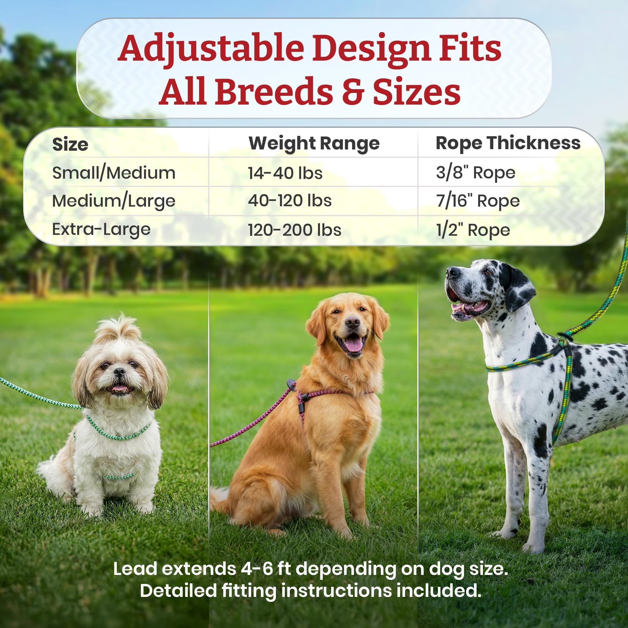 Amazon.com : Harness Lead No Pull Dog Harness and Leash Set, Anti Pull Dog  Harness for All Breeds and Sizes, One-Piece Cushioned Rope Design Safely  Prevents Escaping and Pulling (Medium/Large, Orange/Reflective) :