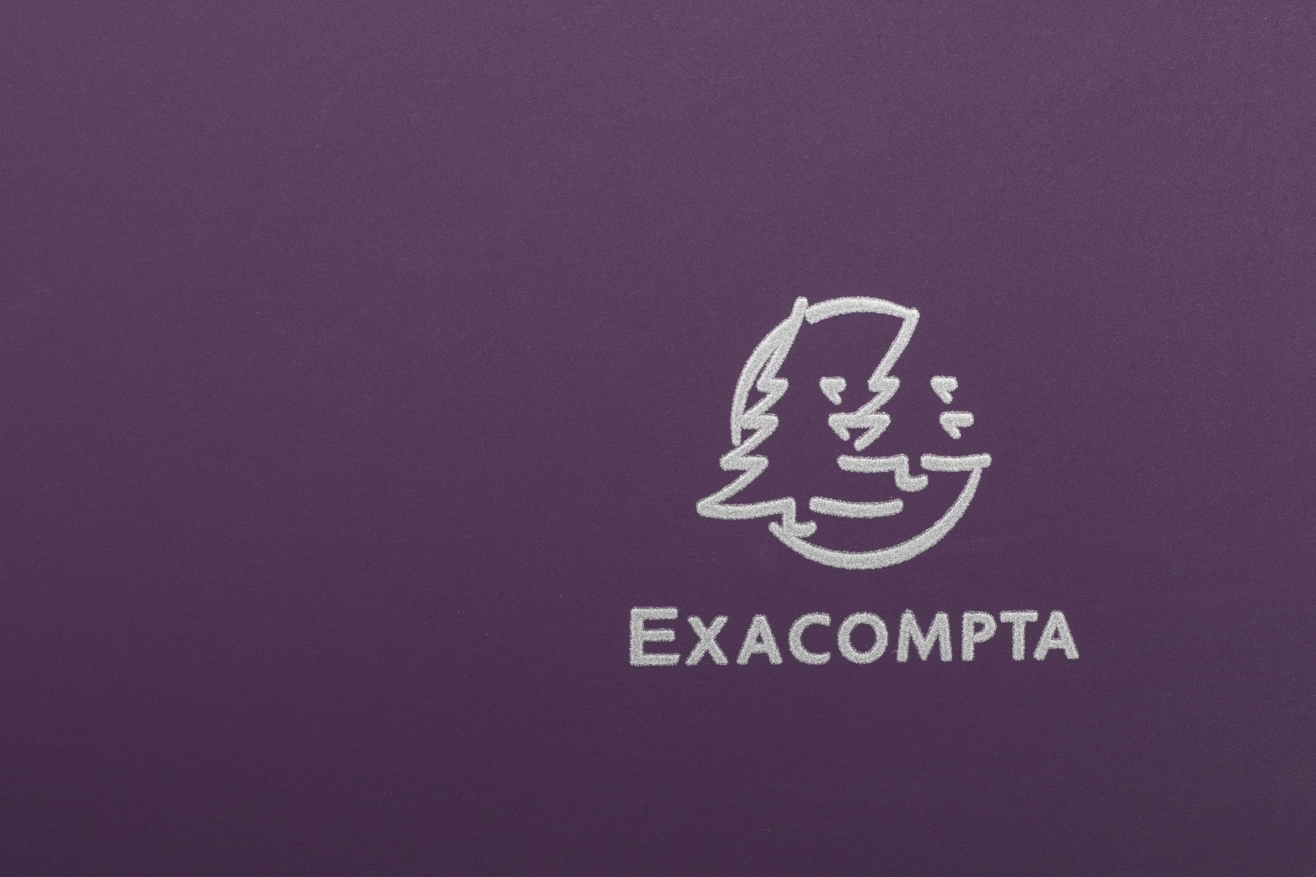 Exacompta - Cod. 51730E - cartone da 20 raccoglitori morbidi TITANE - 4 anelli 15mm - Dorso 2cm - Dim esterne: 32x25cm - Per formato A4 - Assortiti: viola melanzana, bianco cocco, nero, turchese