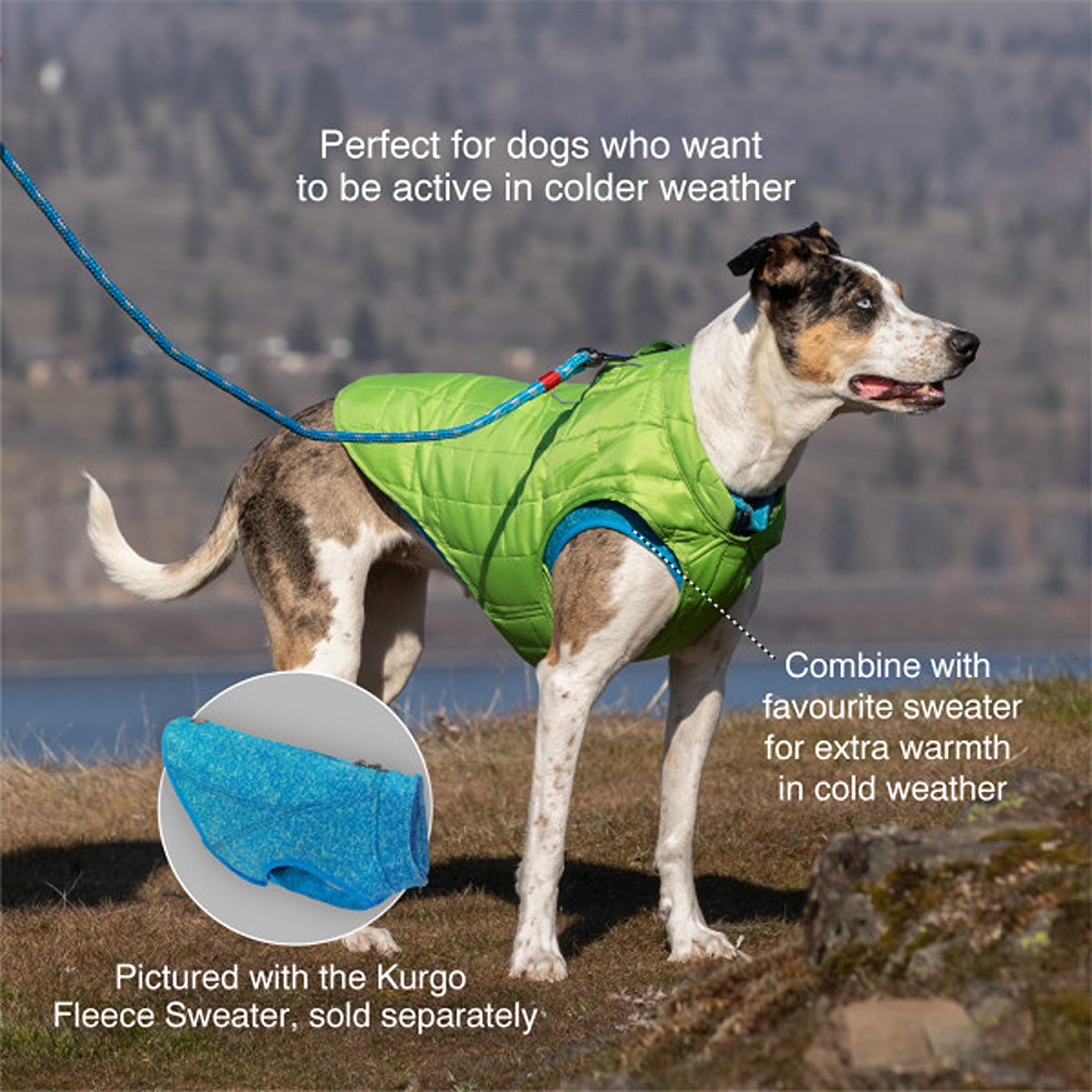 Kurgo Loft - Cappotto Reversibile per Cani, Resistente all'Acqua, Riflettente, Leggero, Compatibile con Imbracatura - Rosso/Grigio, XL