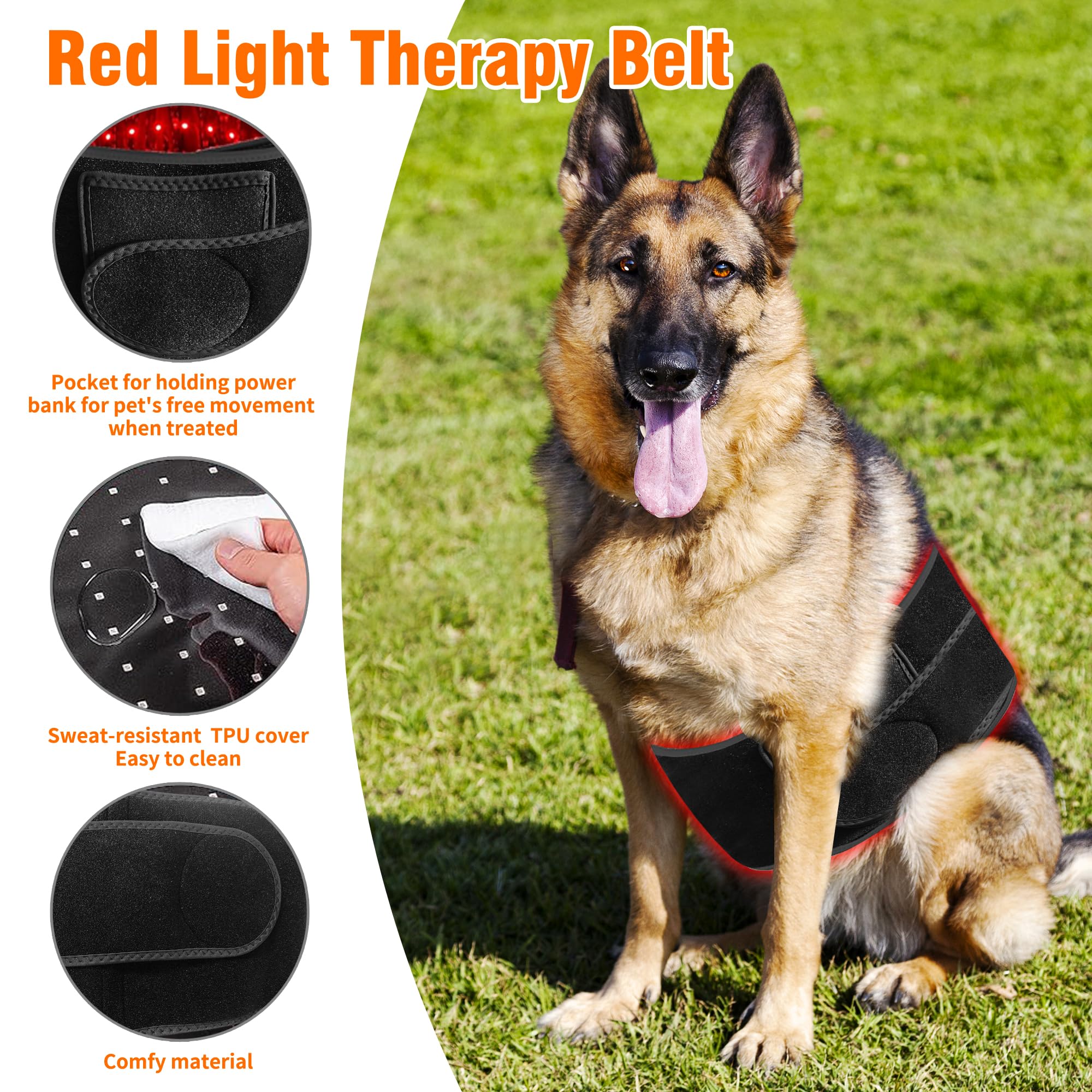 Terapia a luce rossa regolabile per cani, terapia con luce rossa per animali domestici, fascia indossabile portatile per supporto della mobilità e comfort quotidiano, con LED rossi e NIR
