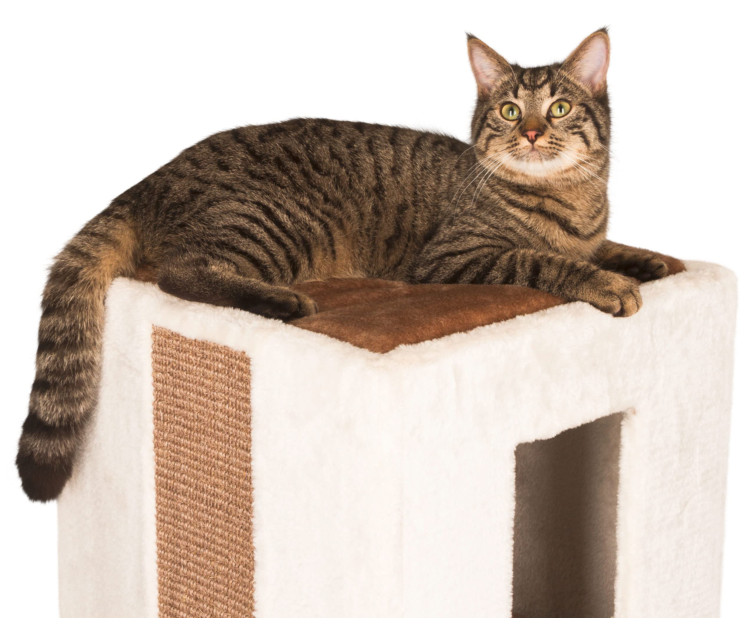 Kerbl Pet 81551 Kratztonne Galina, 40 x 40 x 78 cm, weiß