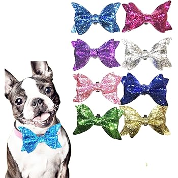 my dog ate a poinsettia leaf