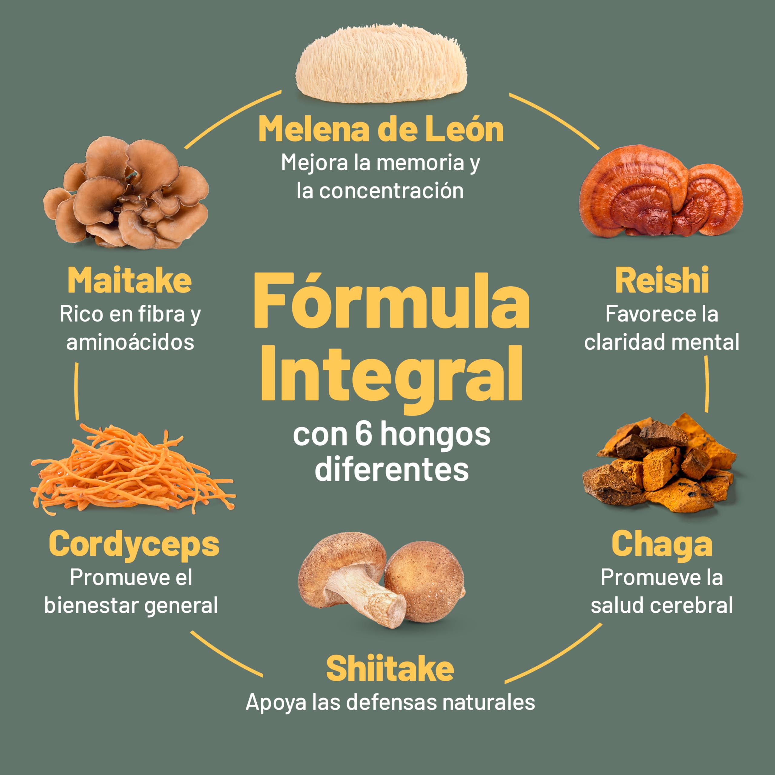 Suplemento de 6 Hongos – Reishi, Melena de León, Cordyceps, Chaga, Shitake y Maitake. 120 Cápsulas. 500mg Por Cápsula.