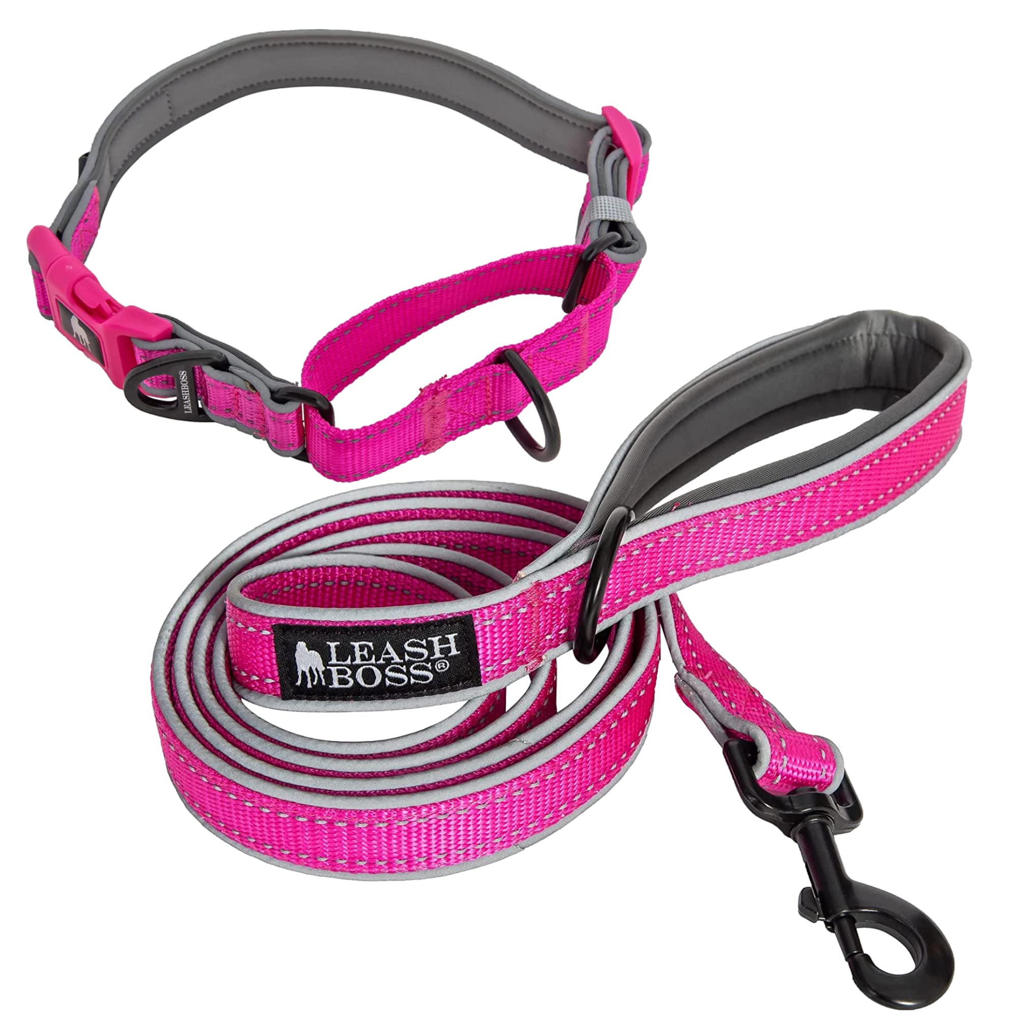 Leash BossReflective Martingale Collar and 6 Ft Leash with Padded Handle, Small Collar 12-15" Neck, Pink