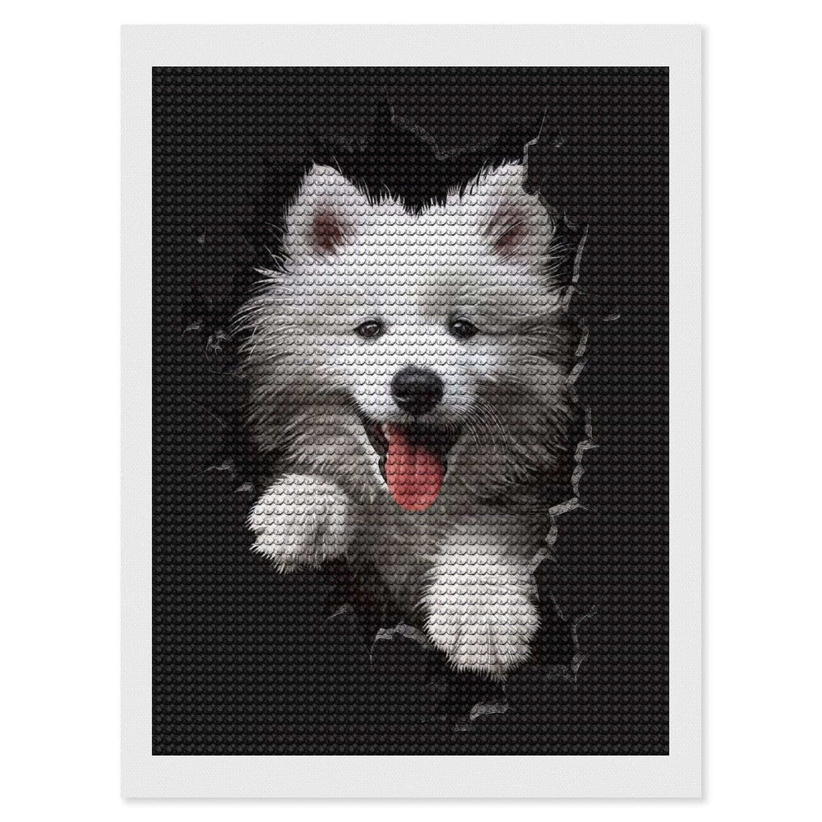 Junmoney Samoyed 5D Diamond Painting Kit 12"x16", Relaxing DIY, Mindful Craft Project, Full Kit Included, Thoughtful Present