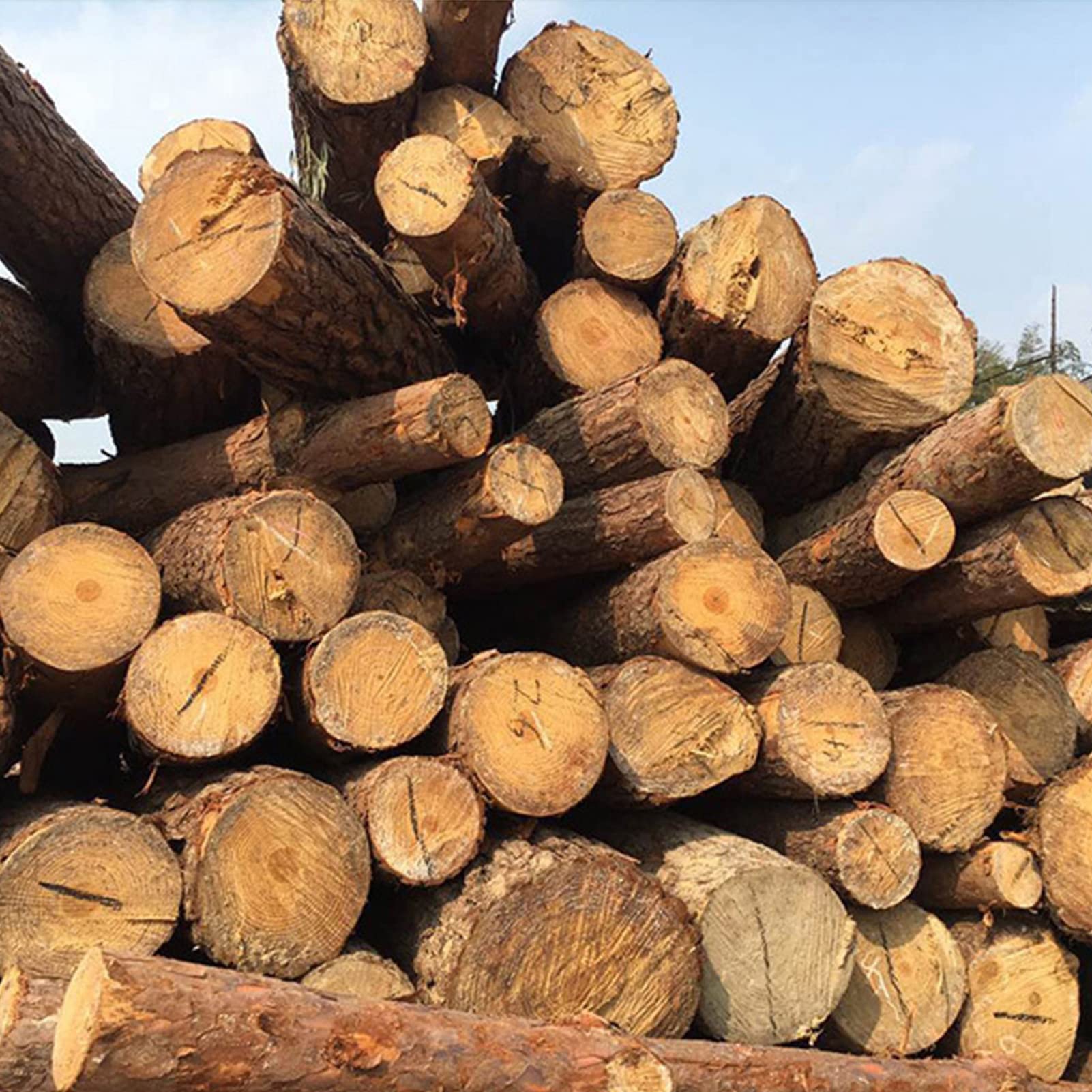 Support pour plantes en bois massif Yosoo Health Gear étagère à fleurs à plusieurs niveaux stable
