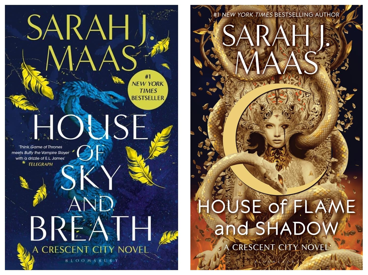 House of Flame and Shadow & House of Sky and Breath: The second book in the EPIC and BESTSELLING Crescent City series