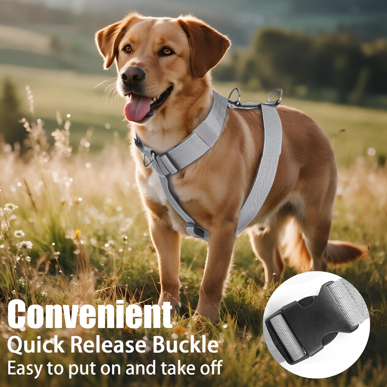 Pettorina Cane Taglia Grande Media Piccola, Pettorina Antifuga Regolabile con Ganci in Metallo, Pettorine Morbido Confortevole Imbottito Petto per Addestrare Le Passeggiate (Grigio, M)