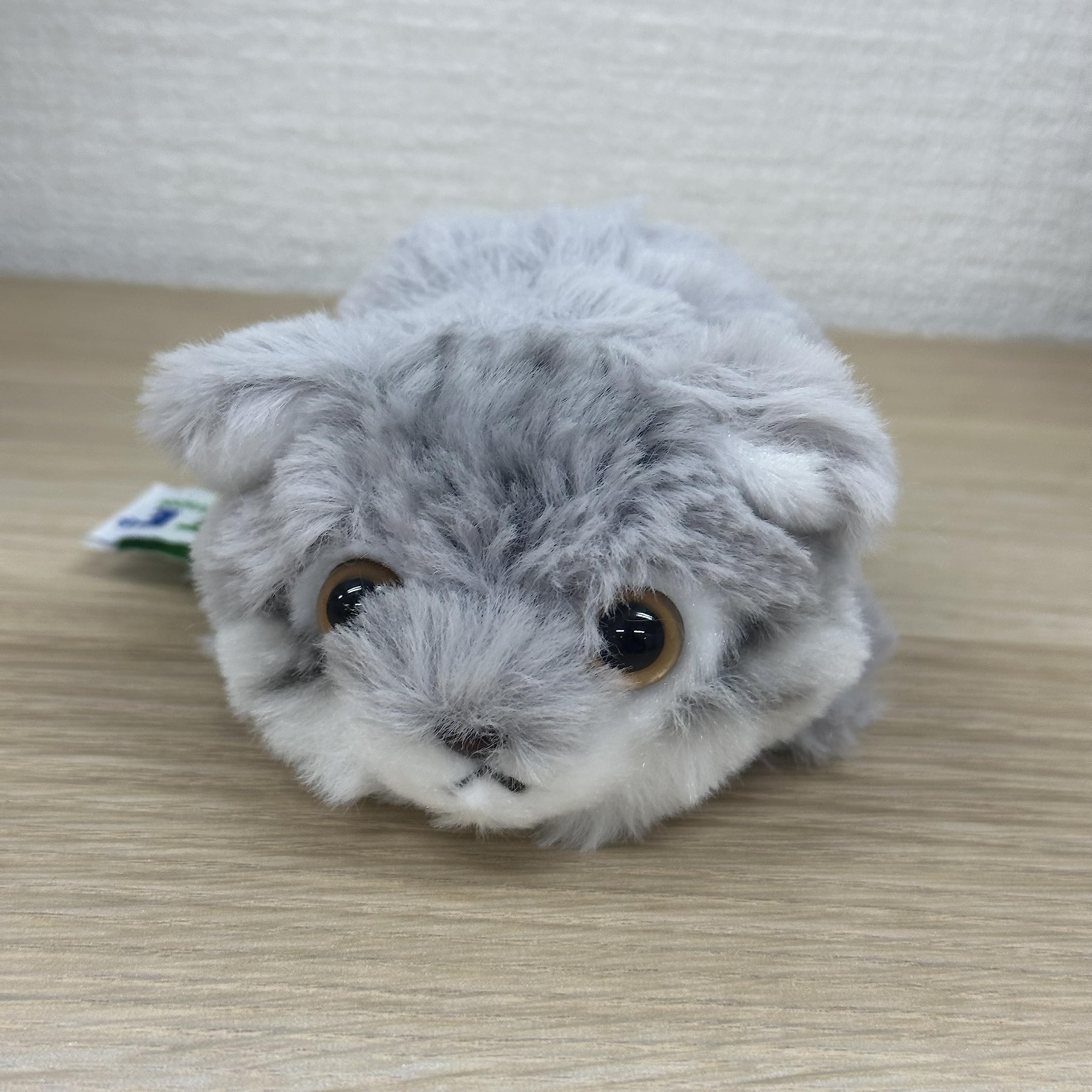 Amazon.co.jp: キュート販売 ぬいぐるみ てのひらマヌルネコ Z0376