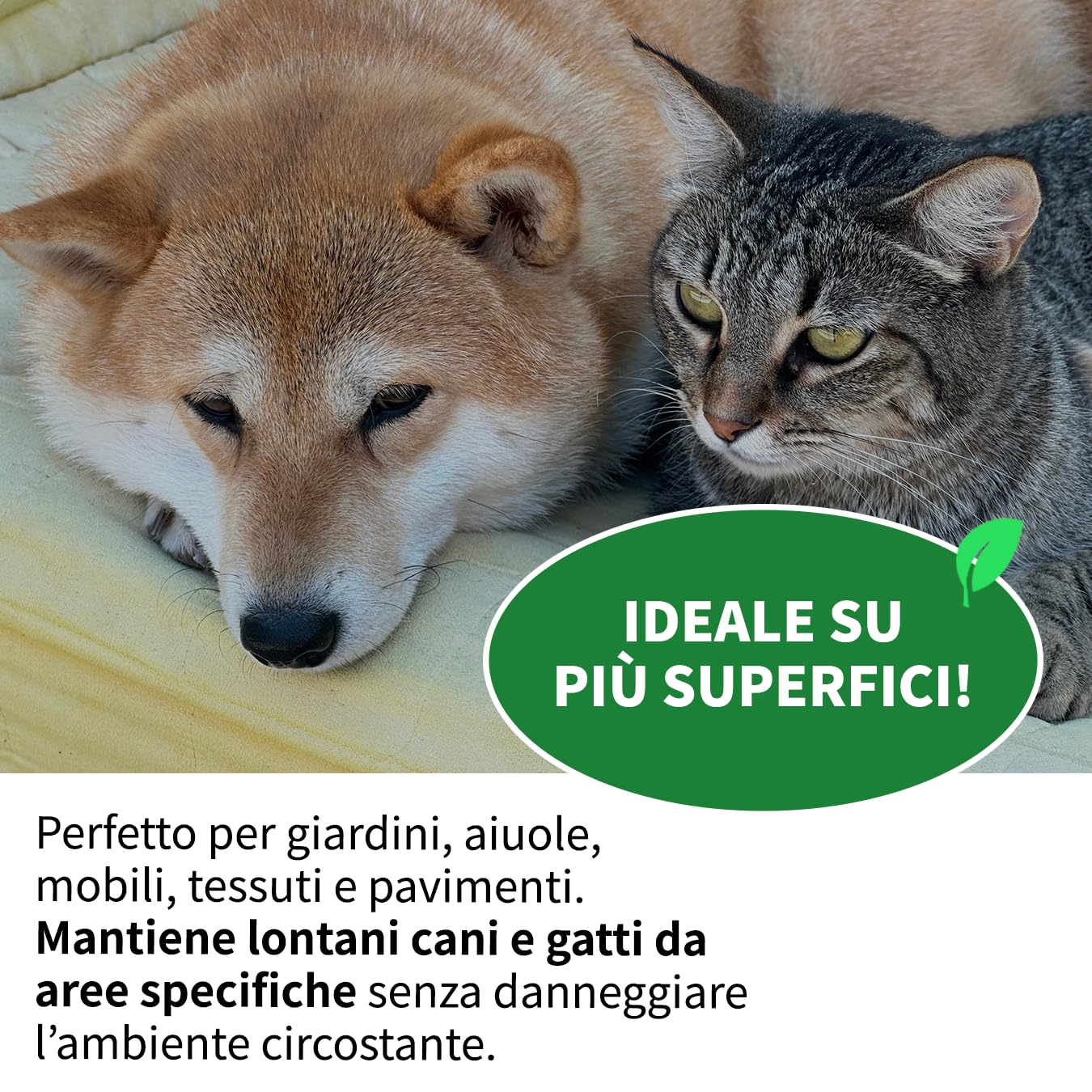 LEADER, Disabituante Spray, Repellente, Dissuasore, Allontana Cani e Gatti, Crea Barriera Olfattiva, Con Oli Essenziali ed Ingredienti Naturali, Uso per Superfici Interne ed Esterne, Formato da 1L