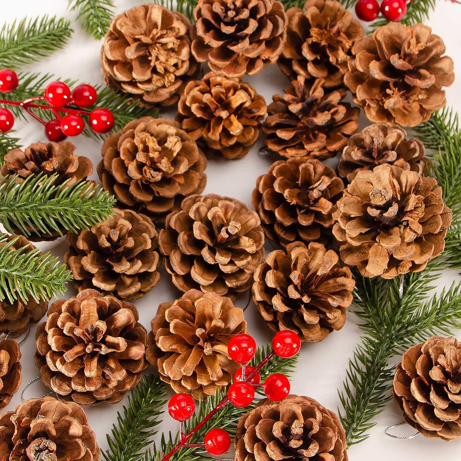 TenaLucy 36 Pezzi Pigne Decorative, 3-4cm Pigne Naturali, Natale Decorazioni, Natale Decorazioni Casa per la Decorazione Domestica Artigianato Fai da Te Albero di Decorazione Autunno Inverno
