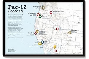 Framed College Football Stadia Map - 15 Map Push Pins!