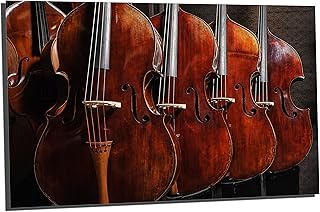Canvas Quest 24 x 16 - Musical Instruments Wall Art Metal Print Double bass, violin, cello print