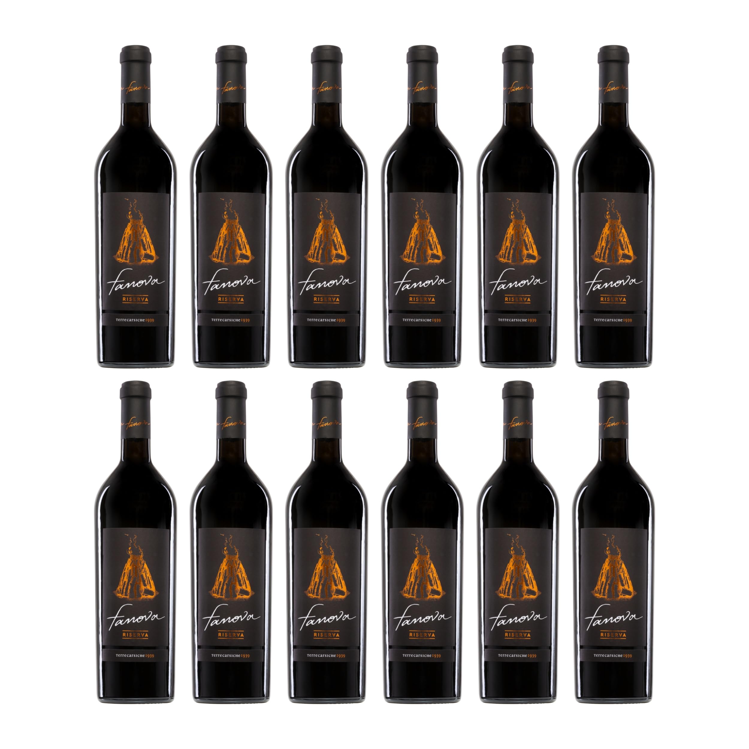 Terrecarsiche Primitivo Fanova Riserva Rotwein Rot Trocken Italien inkl. FeinWert E-Book (12 x 0.75 l)