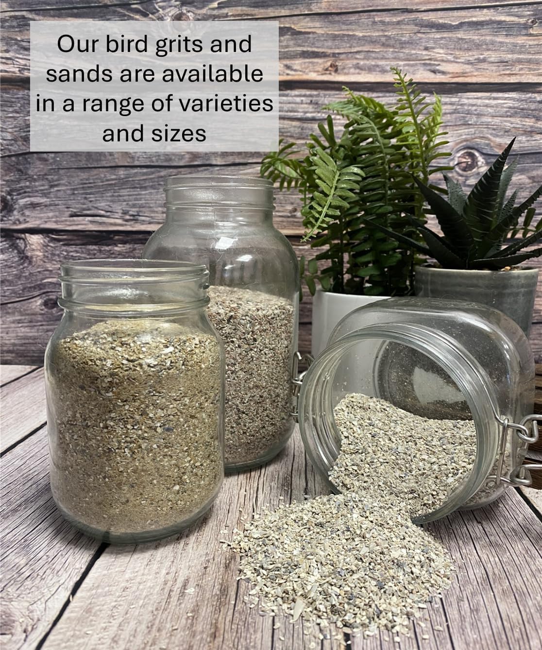 750g Mixed Bird Grit Budgie Canary Finch etc GJJ, 750 g (Pack of 1) - Image 3