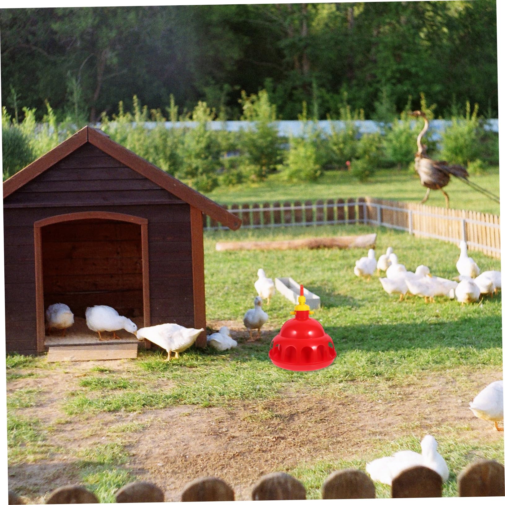 BESPORTBLE Bebedero Automático para Aves Sistema De Bebederos para Pollos Codornices
