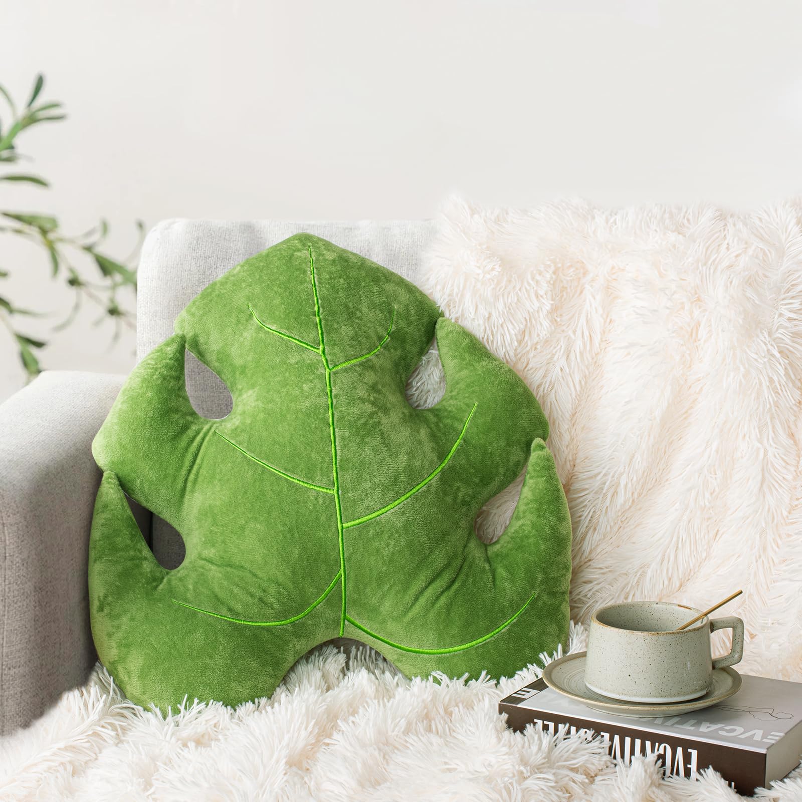 xl monstera XL Monstera Deliciosa | Large Form Leaf main image 0