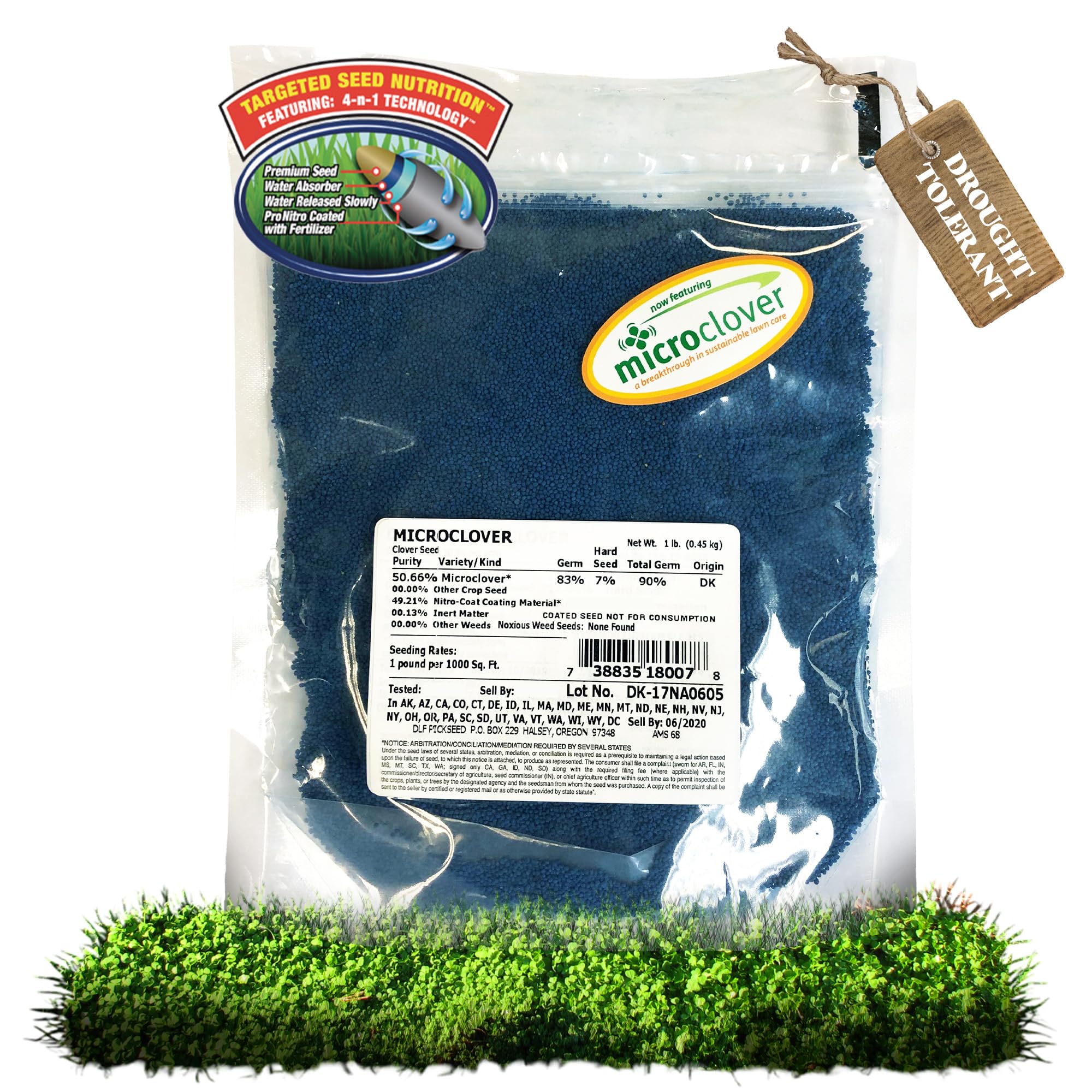 clover Amazon.com : DLF Microclover Seed, Coated & Inoculated Mini Clover