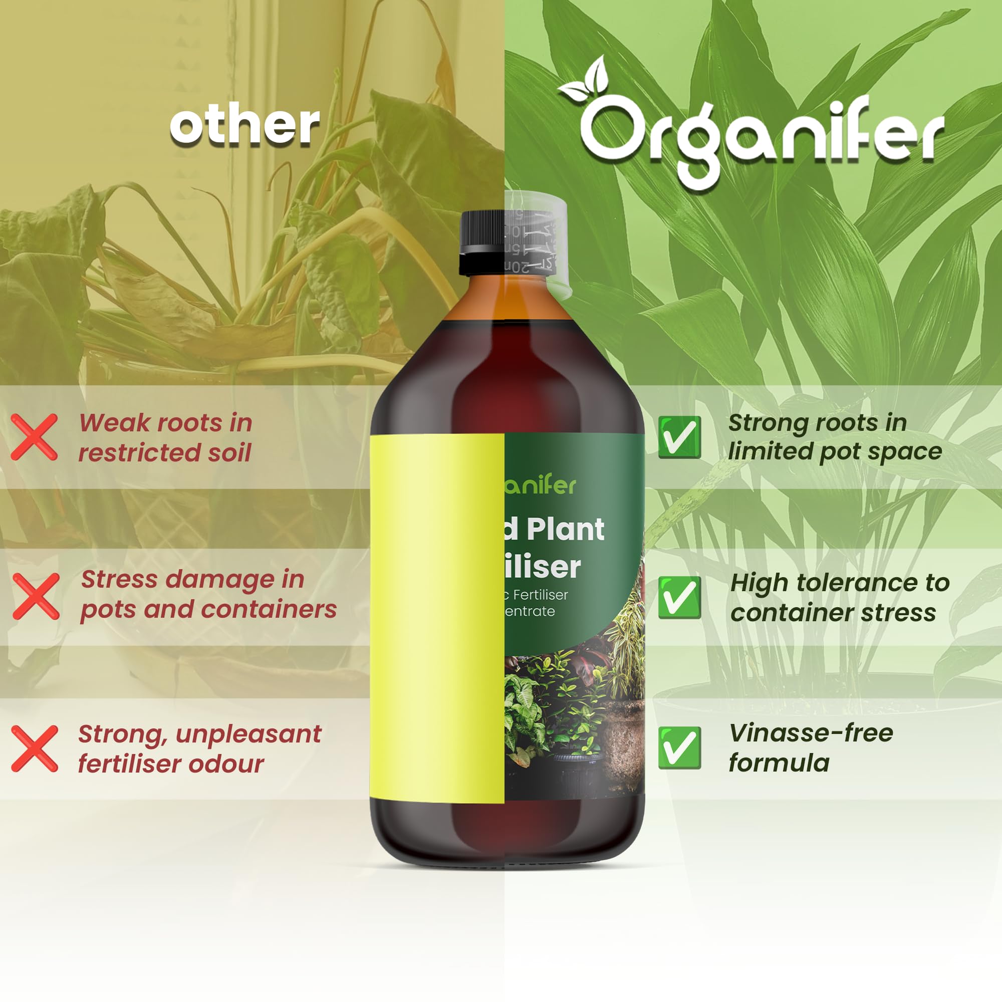 Fertilizante Líquido Para Planta En Maceta - 2x1L - NPK 3-4-3 | Abono Para Hojas Saludables Y Crecimiento Fuerte - Refuerza Raíces Y Vitalidad - Organifer