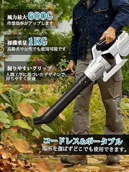 Amazon.co.jp: ブロワー 強力 ブロアー 充電式 PSE認定 コードレス 