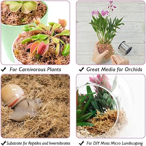 Miniatura 20 de Halatool Musgo natural de esfagno de 4.4 libras para plantas, 85 cuartos de galón, turba de primera calidad, secado con musgo de fibra larga, musgo