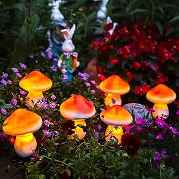 81tO8IUS07L._AC_UF350, 81tO8IUS07L._AC_UF350,