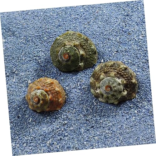 Miniatura 8 de NOLITOY 200 piezas de decoración de caracol de siete estrellas, decoración de escritorio de trabajo, decoración de escritorio de oficina, accesorio